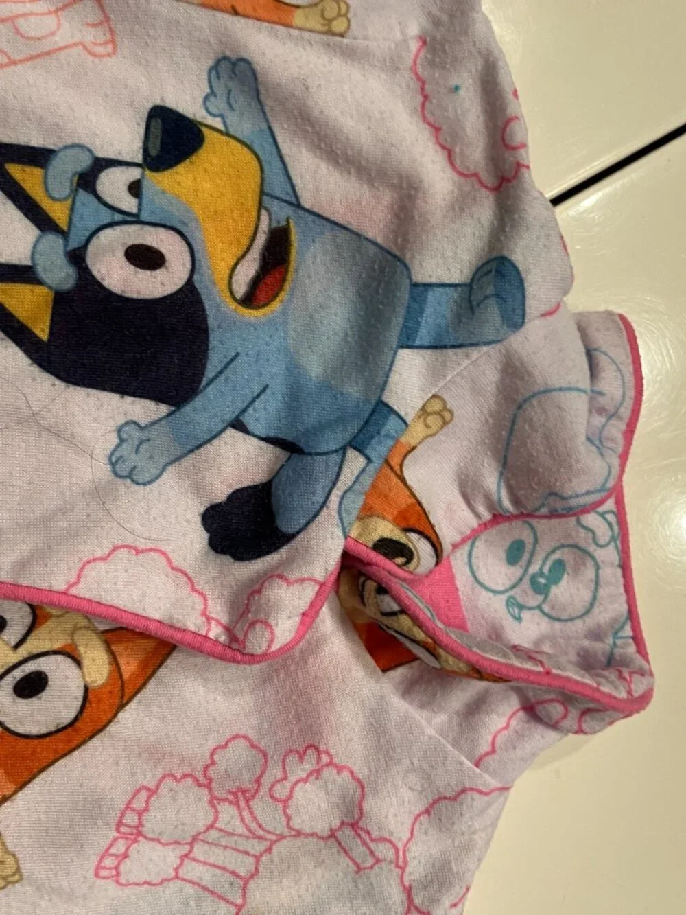 Bluey Pajamas (2 piece set) Size 6 / 6X - Previously Worn